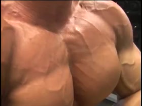 Sagi Extreme Pecs