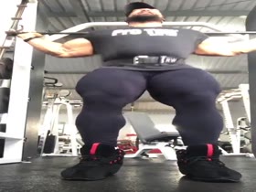 Legs