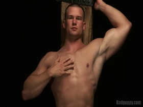 czech hairy muscle