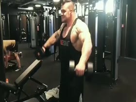 The  Wolf Works Shoulders