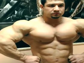 Short Stud, Big Pecs