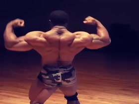 The Best of the Back