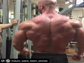 Mauro Sassi - Monster Beast Back