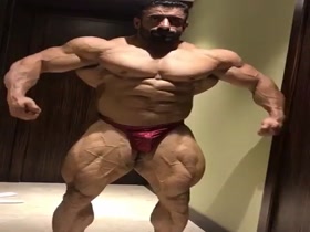 100% Solid Muscle