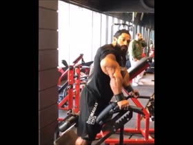 Roelly Winklaar freak triceps biceps & legs