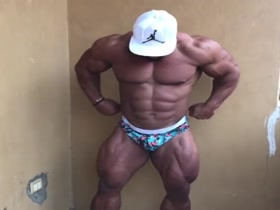 Galal Zakaria - Muscle Stud