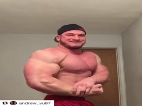 Six pairs of amazing huge pecs