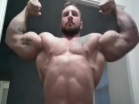 Gigant Bodybuilder
