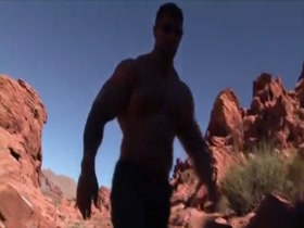 Muscle
