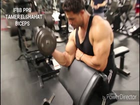 Tamer El Shahat - Preacher Curls (Biceps Training - December 11, 2016)