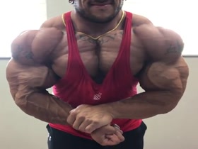 Mass Muscle