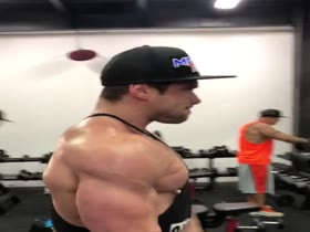 Shoulders