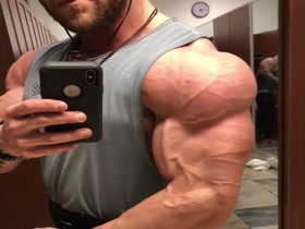 ripped bodybuilder at mirror