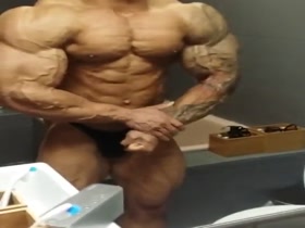 MUSCLES2