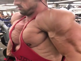 Pecs so swollen they could burst