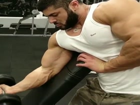 Huge Bicep