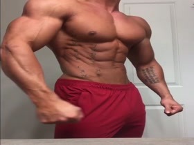 Big Gorgeous Pecs and Tiny Wasp Waist