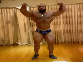 Huge Bear Posing