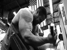 Evan Centopani Beast Mode Arms