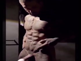 Muscle Muscular