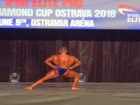 Roman Dudushkin 2018