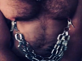 Gay Bear - Heavy Nipple Clamps