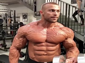 Arms