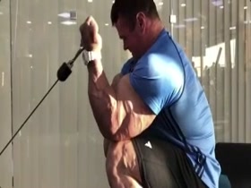 Arms a Massive