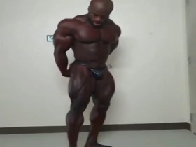 BLACK MUSCLE !