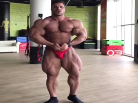 Beef Show