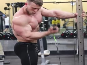 The Gyms