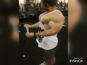 Arms a Massive