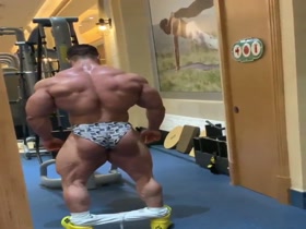 The Gyms