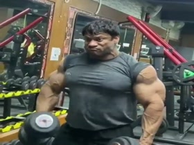 Arms a Massive