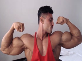Perfect Biceps