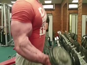 Arms a Massive