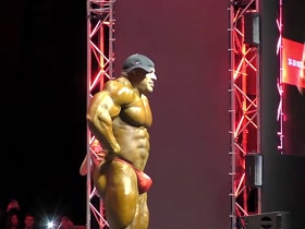 Big BIG Bodybuilder