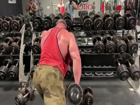 Stanimal de Longeaux