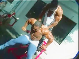 Flex Wheeler - Mass Construction