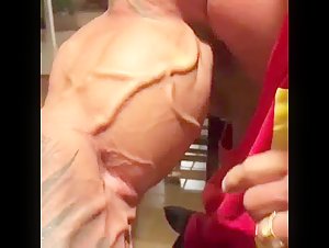 vascular muscle bull