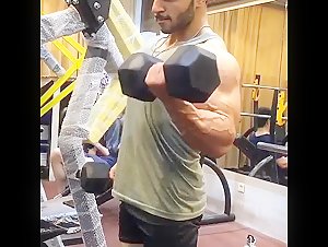 Massive Muscle Gym 1