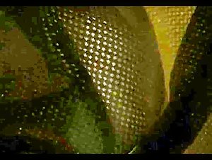 Thumb 10
