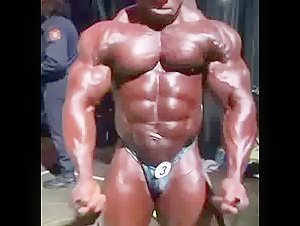 Roid Bull Backstage Pumping Pecs