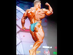 mr olympia