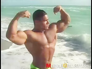 Muscle Flex