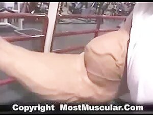Huge Biceps Flex